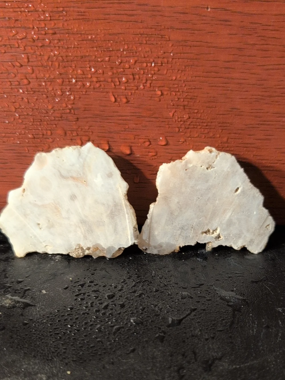 Agate #31